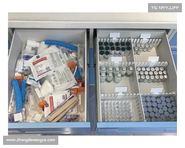 高效装备整理技巧与方法揭秘 让你的物品归类更有序 高效装备整理技巧与方法揭秘 让你的物品归类更有序